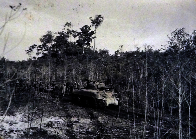 5170d41425c319.42763311