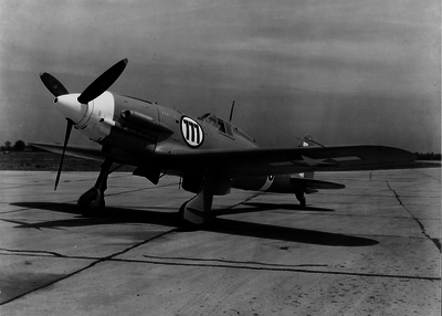 517ee672f00e46.50579871