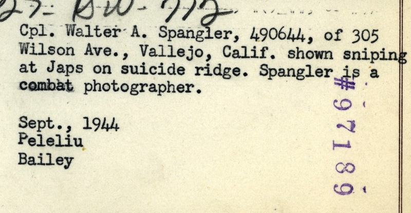 517ee7bf8cb8a8.17791162