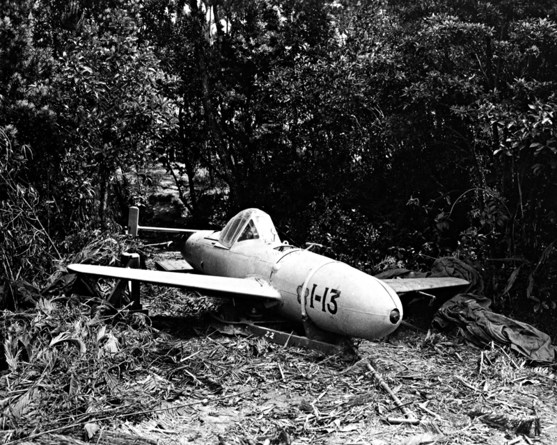 517ee8dae1a146.97086415