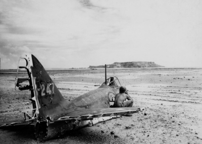 517ee9c97a60a5.68468318