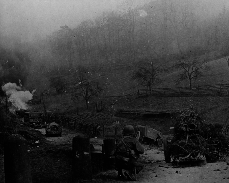 517eeb64323864.70646873