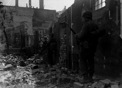 517eeb84101c55.61759862