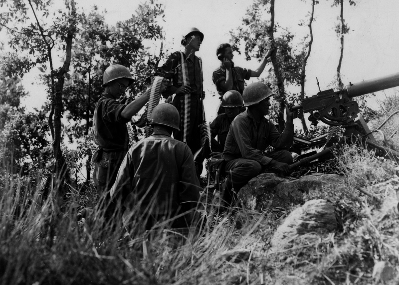 517eebda41c8f3.78868357