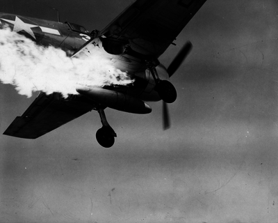 517efa3aee68a4.34600430