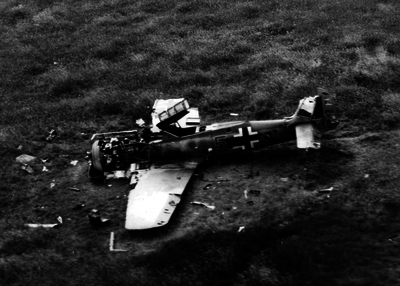 517efa52bf9022.57645895