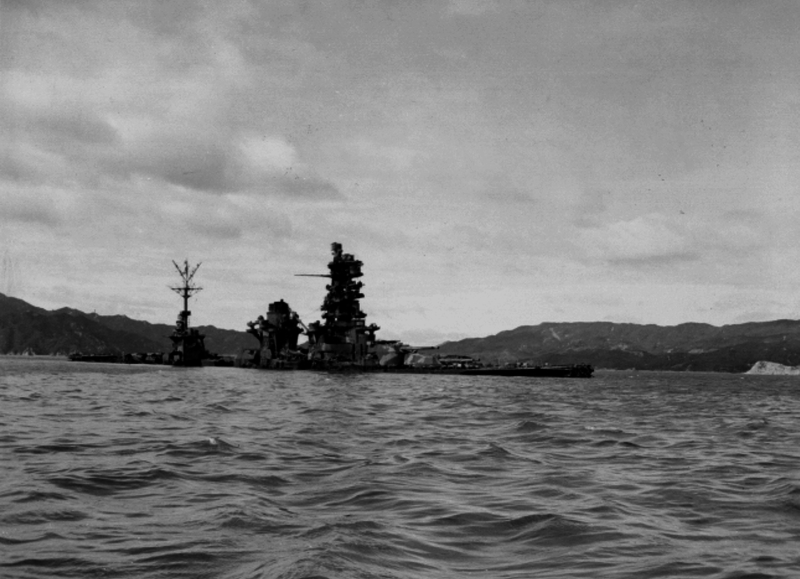 517efa5c36cae0.80988829