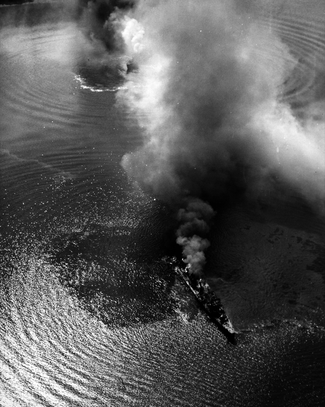 517efa7664e4c4.42609172