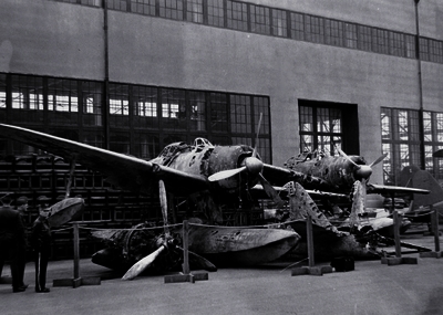 517efa8fbb0e61.88740616