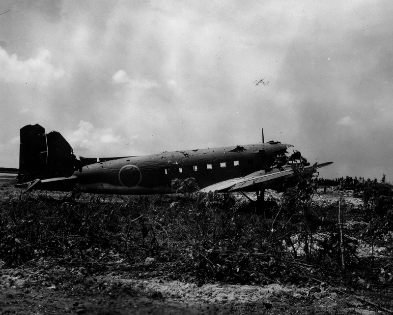 517efab5677688.28302848