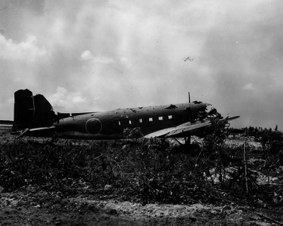 517efab5677688.28302848