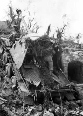 517efad519b956.88491823