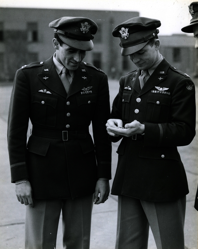 517efd07844b25.17528951