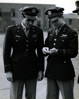 517efd07844b25.17528951