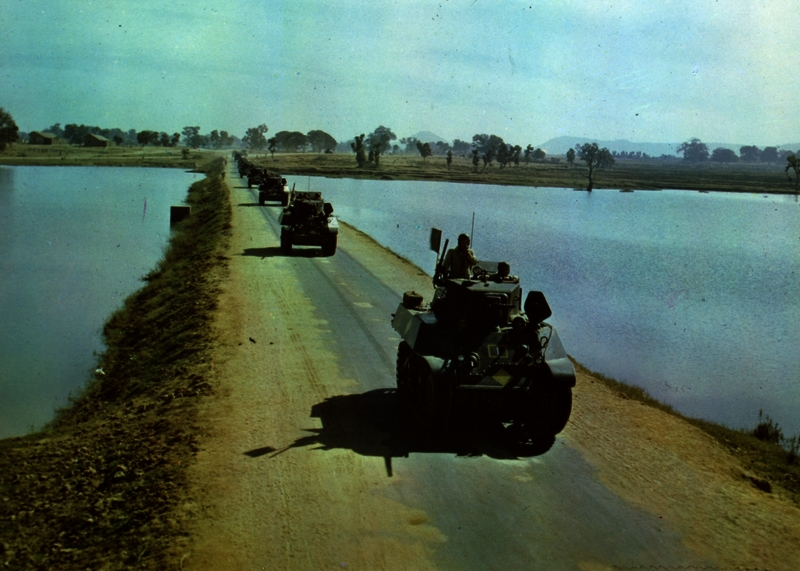 517f01c10457f9.17206729