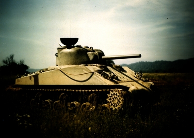 517f01d3773f95.29389143