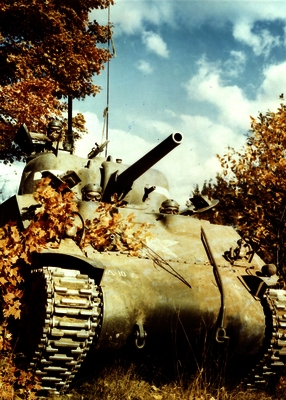 517f0204cccda6.06079757