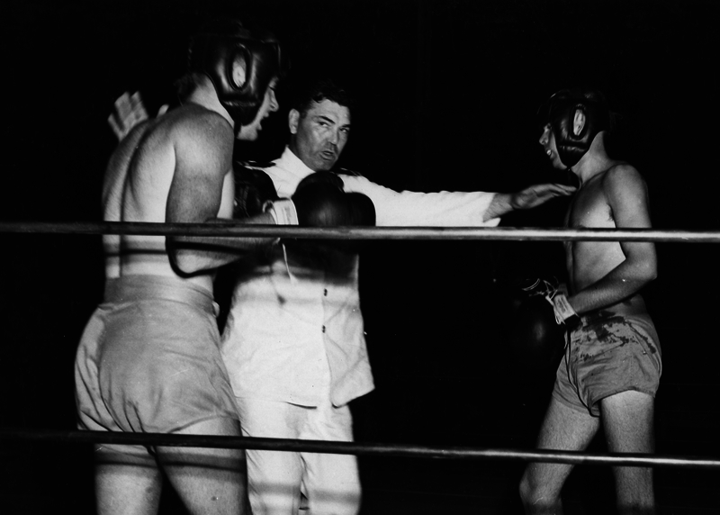 517f0a02542c73.91613084