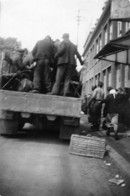 517f124e175ea3.35309422