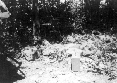 517f1273eafc41.30803272