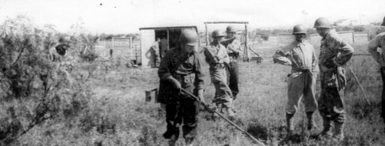 517f1277e50388.10829569