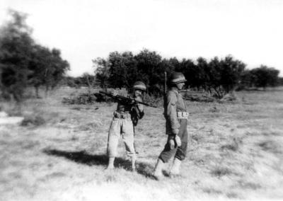 517f1278ef9170.89508184