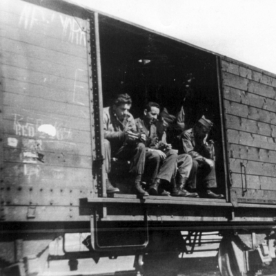 517f1281dfcc23.88372599