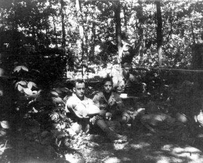 517f12b95fd230.53027128