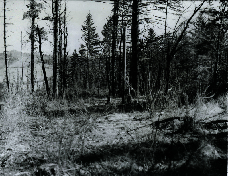 52c5ea77e12bb0.61096246