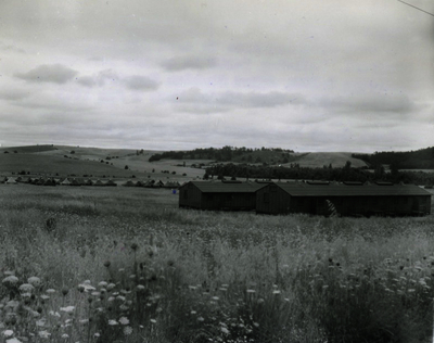 52c5ea7a1c4774.13396291