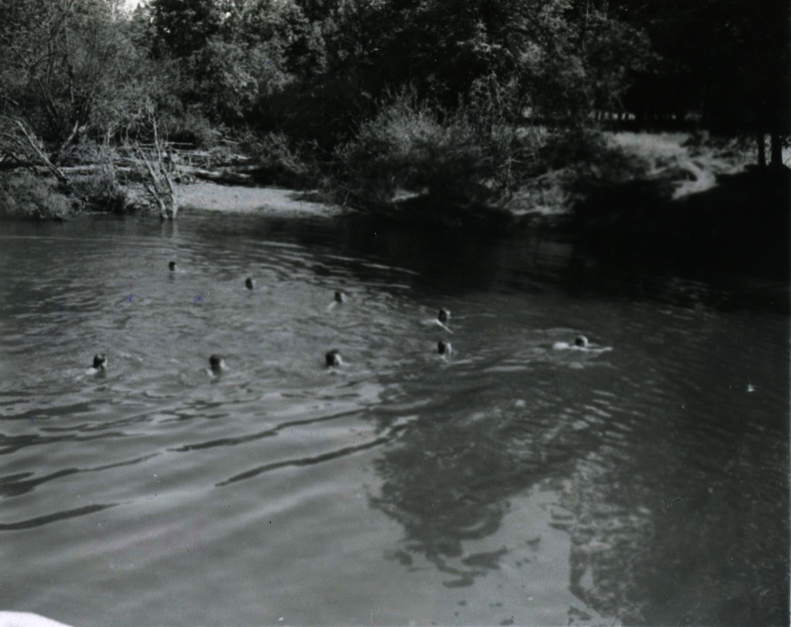 52c5eb5e675554.86396895