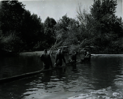 52c5eb60d27311.65032764