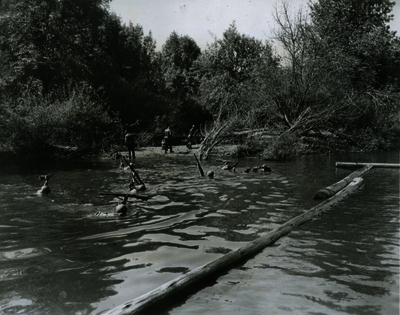 52c5eb61572226.60437852