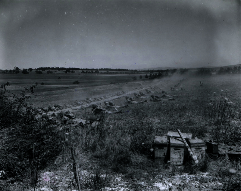 52c5eba9e8f3a5.13842105