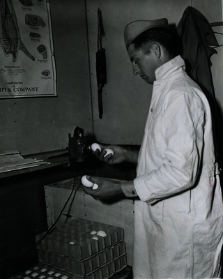 52c5ebab8fc815.10116403