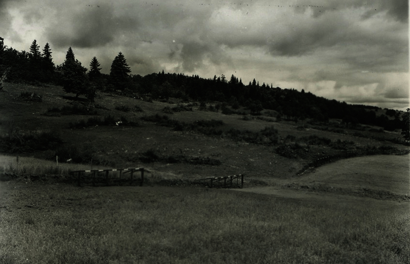 52c5ebac6bec92.80844309