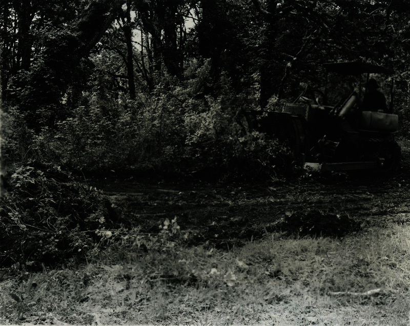 52c5ebacba8da0.39620289