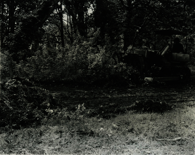 52c5ebacba8da0.39620289