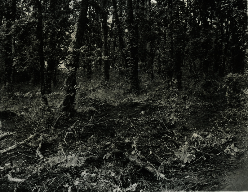 52c5ebad33e467.89311325