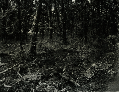 52c5ebad33e467.89311325