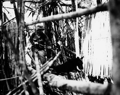 52d5b559886773.68243944