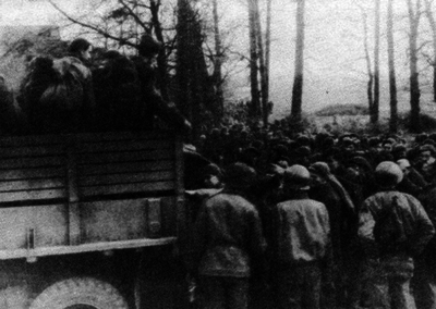 52df4a271bff24.42708782