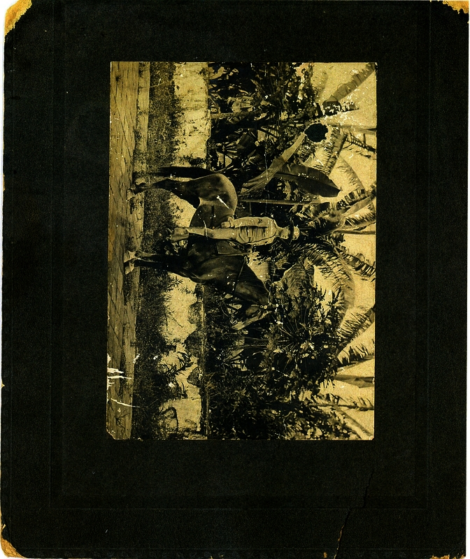 52e994ff134a27.47768486