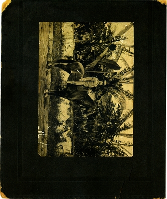 52e994ff134a27.47768486