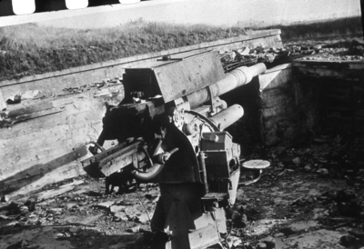 5487faed9b4fd2.62374343