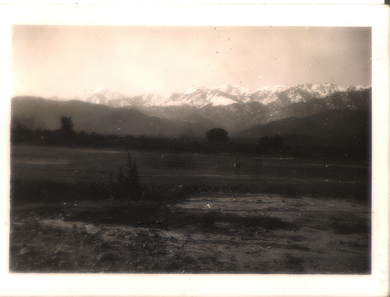 5a5ff8a3487f4scan0009