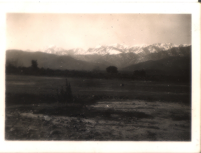 5a5ff8a3487f4scan0009