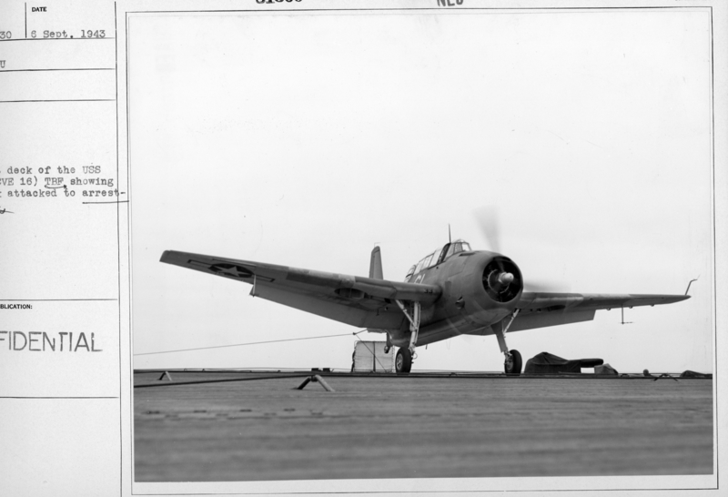 517b4651825700.67776055