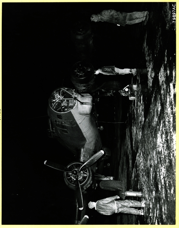 517c880e84ebc9.35248338