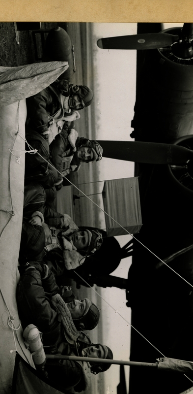 517c884ebe5337.78982539